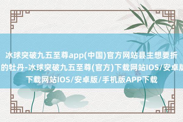 冰球突破九五至尊app(中國)官方網站縣主想要折何惟芳一火母留住的牡丹-冰球突破九五至尊(官方)下載網站IOS/安卓版/手機版APP下載