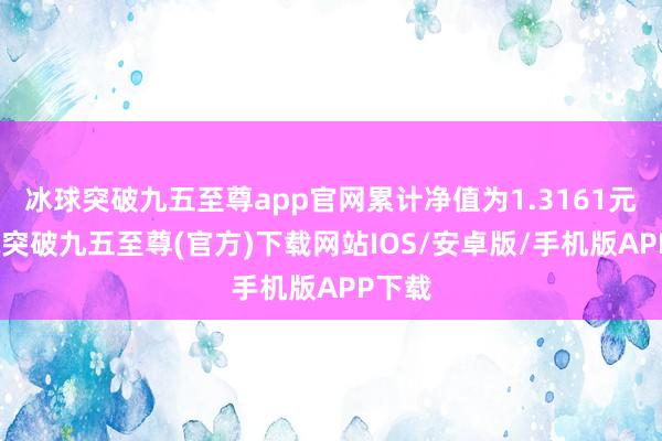 冰球突破九五至尊app官網累計凈值為1.3161元-冰球突破九五至尊(官方)下載網站IOS/安卓版/手機版APP下載